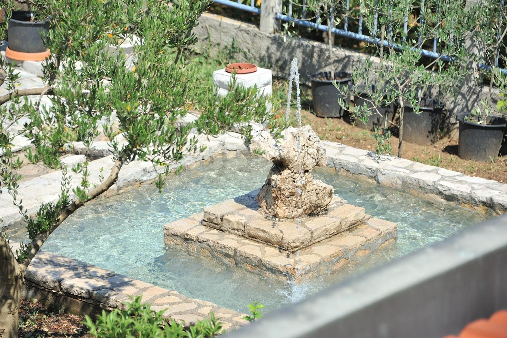 Pool House Maslina *